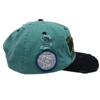 Aqua International Street Team Hat