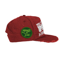 Rosy Intl Street Team Hat