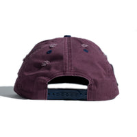 Plum International Street Team Hat